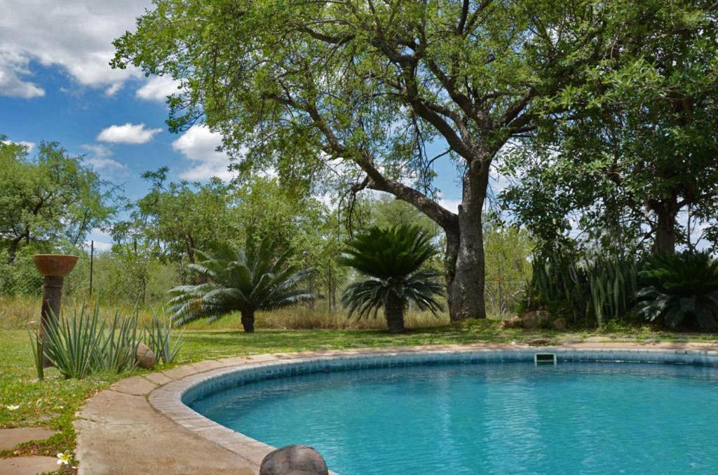 Tingala Lodge - Bed In The Bush Phalaborwa Exterior foto