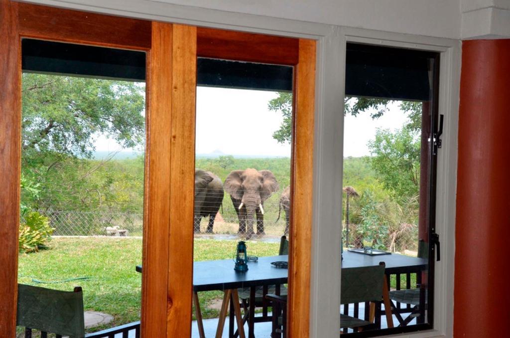 Tingala Lodge - Bed In The Bush Phalaborwa Exterior foto